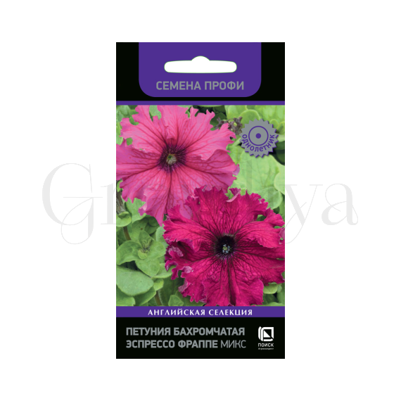 Петуния бахромчатая Эспрессо Фраппе Микс 10 шт ПОИСК