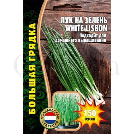 Лук на зелень WHITE LISBON 150 шт РЕДКИЕ СЕМЕНА