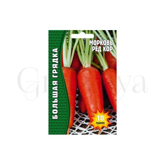 Морковь Ред Кор 2500 шт РЕДКИЕ СЕМЕНА