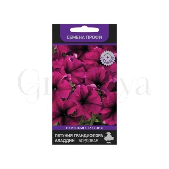 Петуния грандифлора Аладдин Бордовая 30 шт ПОИСК