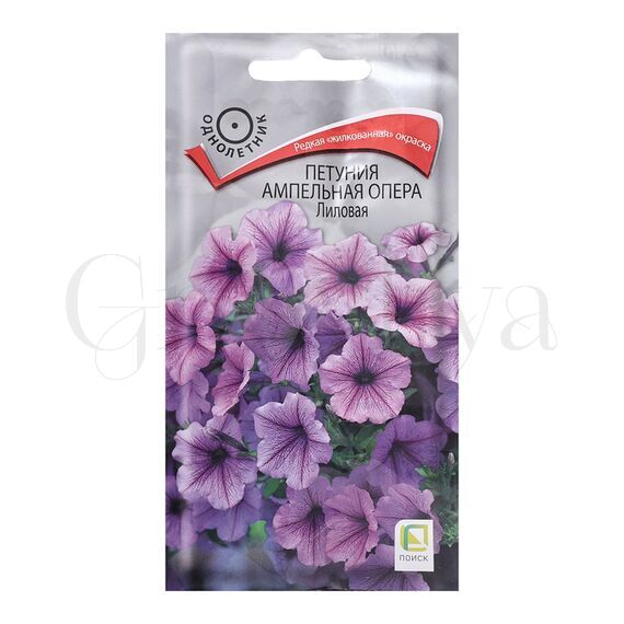 Петуния ампельная Опера Лиловая 5 шт ПОИСК