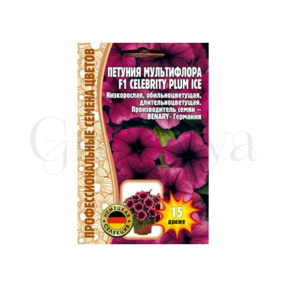 Петуния мультифлора Селебрети Плюм Айс F1 15 шт РЕДКИЕ СЕМЕНА