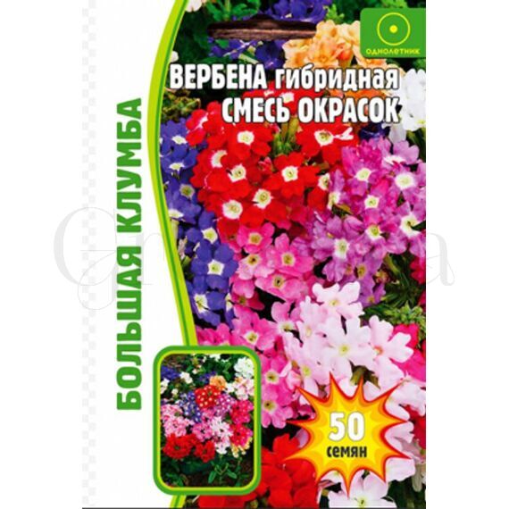 Вербена Гибридная смесь окрасок 50 шт РЕДКИЕ СЕМЕНА