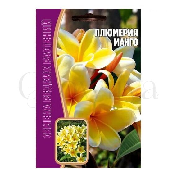 Плюмерия Манго 3 шт РЕДКИЕ СЕМЕНА