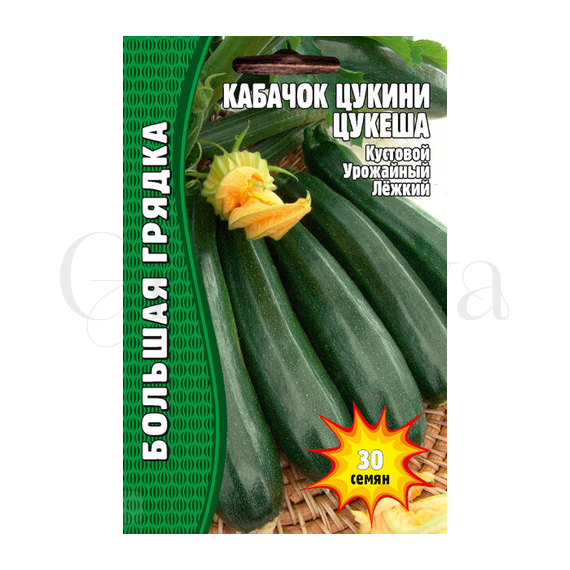 Кабачок цуккини Цукеша 30 шт РЕДКИЕ СЕМЕНА