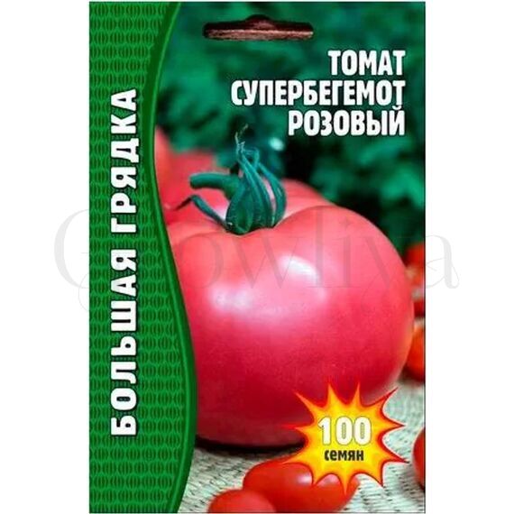 Томат СуперБегемот розовый 100 шт РЕДКИЕ СЕМЕНА