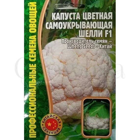 Капуста цветная Шелли самоукрывающая F1 10 шт РЕДКИЕ СЕМЕНА