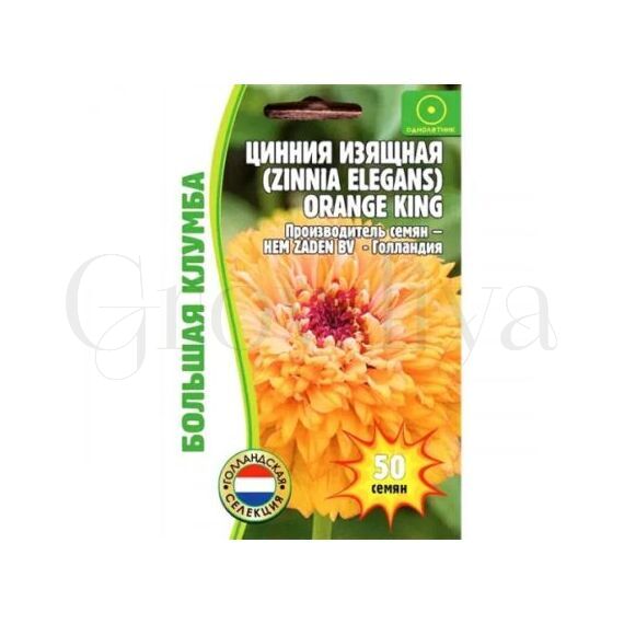 Цинния Orange King изящная РЕДКИЕ СЕМЕНА