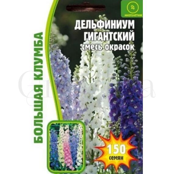 Дельфиниум Гигантский смесь 50 шт РЕДКИЕ СЕМЕНА