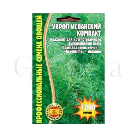 Укроп Испанский Компакт 1000 шт РЕДКИЕ СЕМЕНА