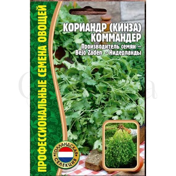 Кориандр  Коммандер 200 шт РЕДКИЕ СЕМЕНА