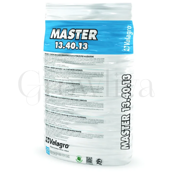 Мастер 13.40.13 1 кг  (фасовка)
