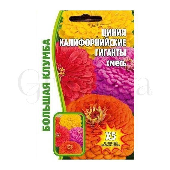 Цинния Калифорнийские гиганты РЕДКИЕ СЕМЕНА