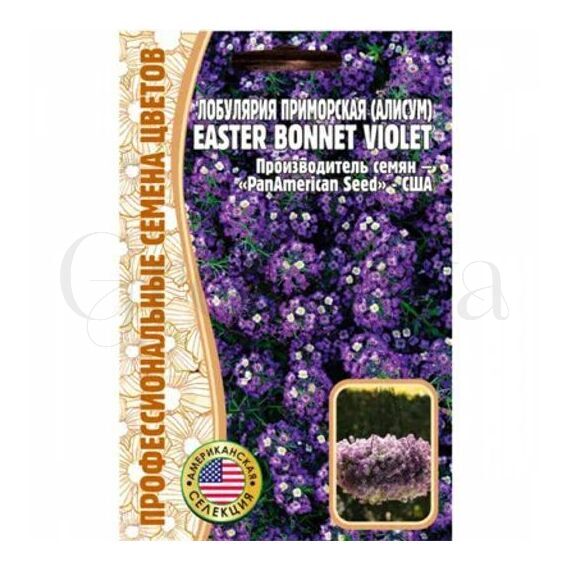 Алисум Лобулярия  Easter Bonnet Violet 20 шт РЕДКИЕ СЕМЕНА