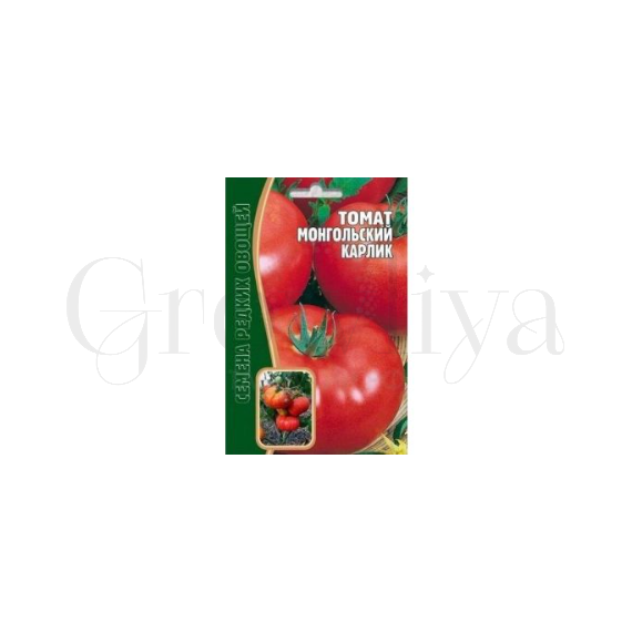 Томат Монгольский карлик 8 шт РЕДКИЕ СЕМЕНА