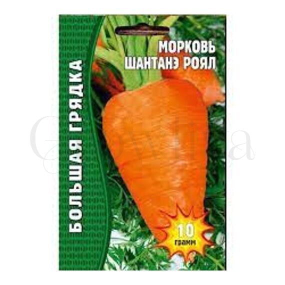 Морковь Шантане Роял 5000 шт РЕДКИЕ СЕМЕНА