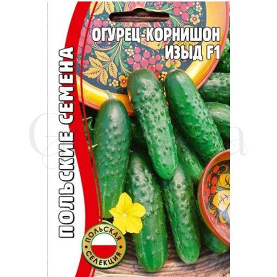 Огурец Изыд (корнишон) 10 шт РЕДКИЕ СЕМЕНА