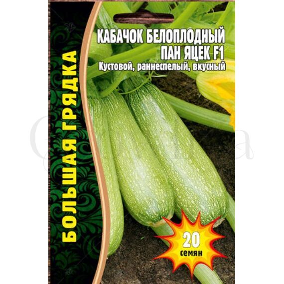 Кабачок Пан Яцек F1 20 шт РЕДКИЕ СЕМЕНА