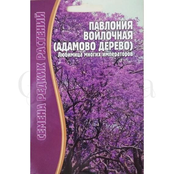 Павлония войлочная Адамово дерево 10 шт РЕДКИЕ СЕМЕНА