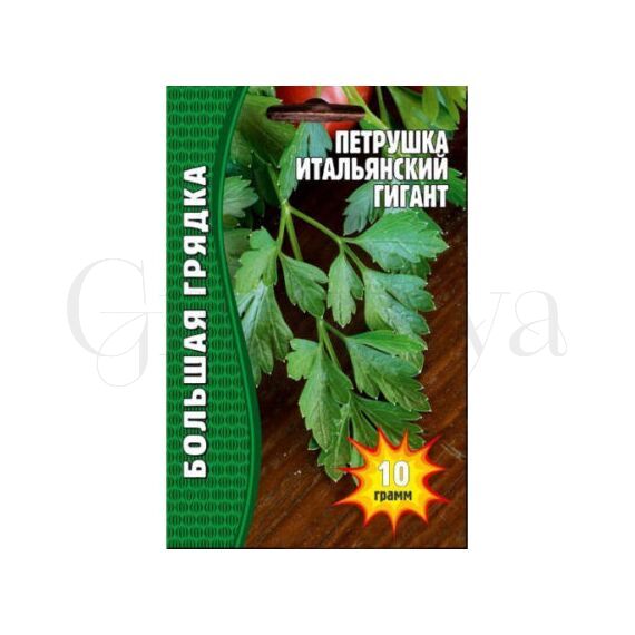 Петрушка Итальянский Гигант 3500 шт РЕДКИЕ СЕМЕНА