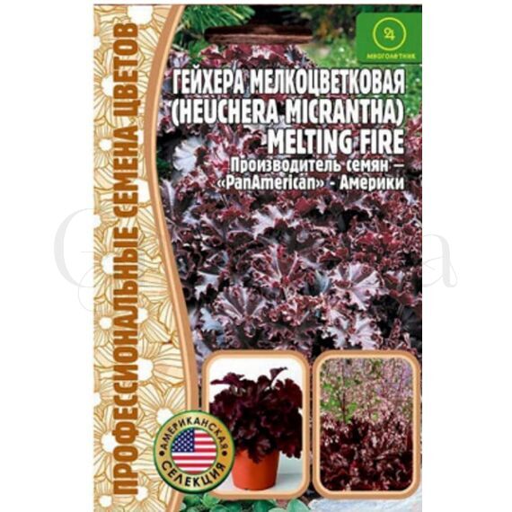 Гейхера Милтинг Файер  мелкоцветковая 5 шт РЕДКИЕ СЕМЕНА