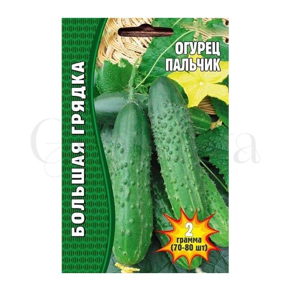Огурец Пальчик 50 шт РЕДКИЕ СЕМЕНА