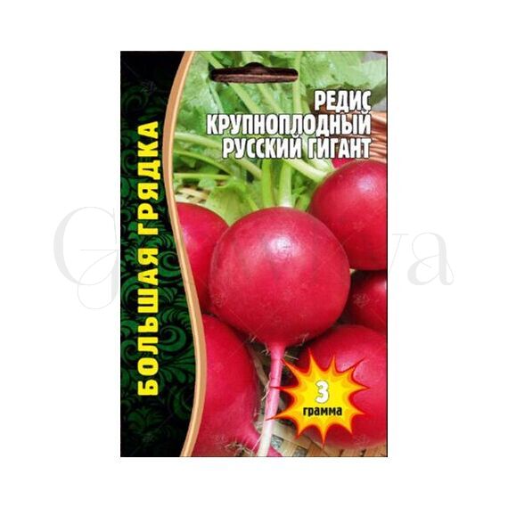 Редис крупноплодный Русский Гигант 3 г РЕДКИЕ СЕМЕНА