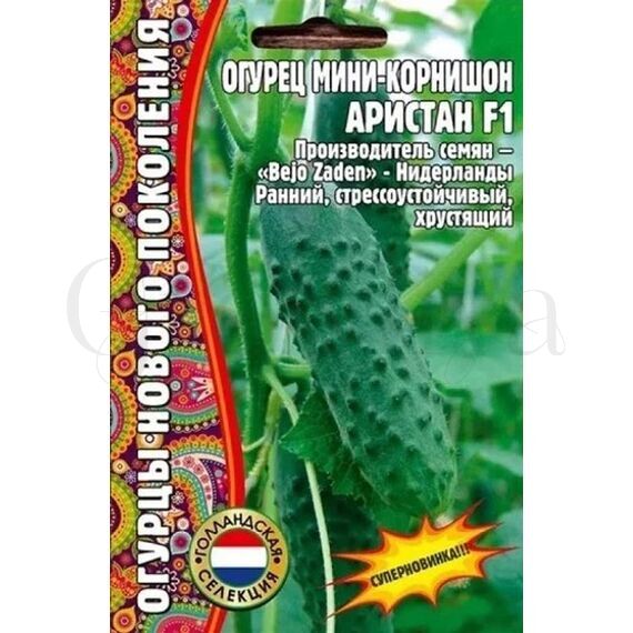 Огурец Аристан F1 мини корнишон 6 шт РЕДКИЕ СЕМЕНА
