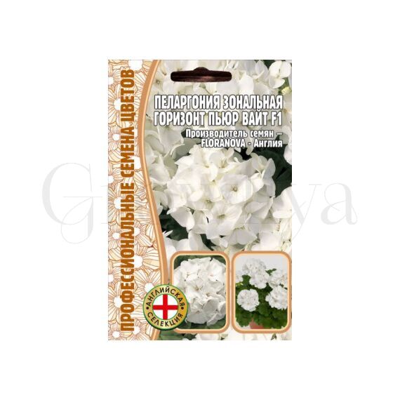 Пеларгония зональная Горизонт Пьюр Вайт F1 3 шт РЕДКИЕ СЕМЕНА