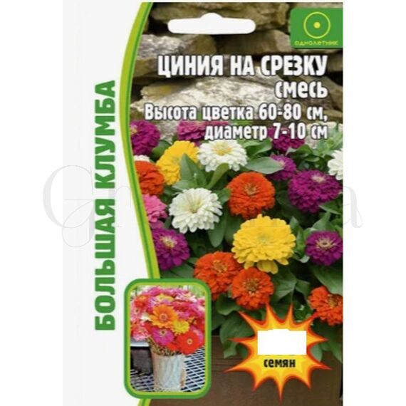 Цинния на срезку смесь 50 шт РЕДКИЕ СЕМЕНА