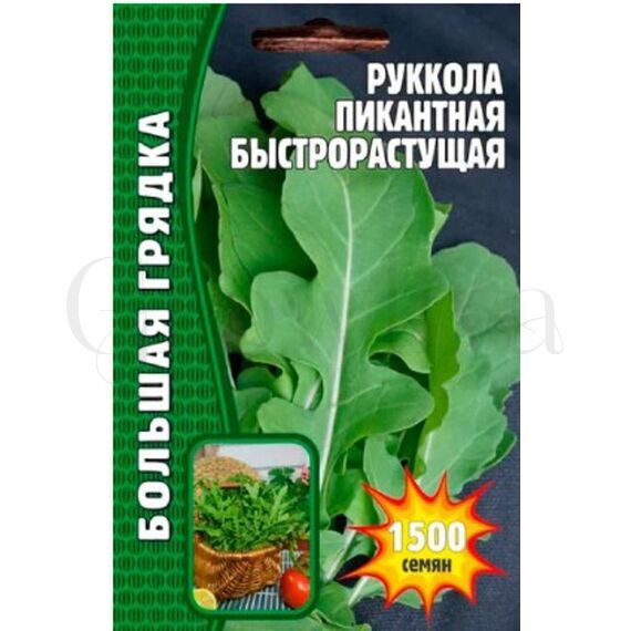 Руккола Пикантная Быстрорастущая 1500 шт РЕДКИЕ СЕМЕНА