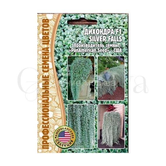 Дихондра Сильвер Фаллс F1 3шт РЕДКИЕ  СЕМЕНА