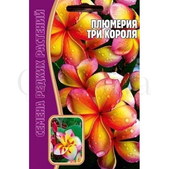 Плюмерия Три короля 3 шт РЕДКИЕ СЕМЕНА