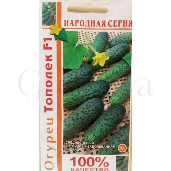 Огурец Тополек (народная серия)  1 г РЕДКИЕ СЕМЕНА