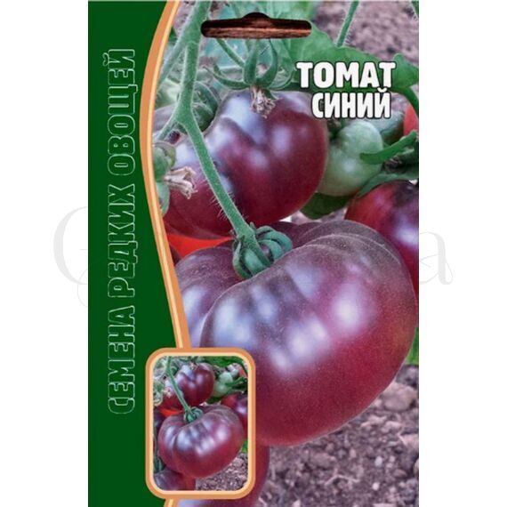 Томат Синий 12 шт РЕДКИЕ СЕМЕНА