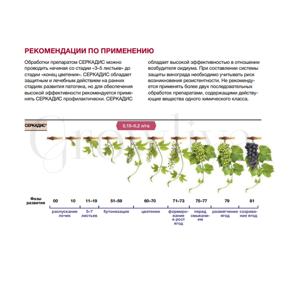 Серкадис КС, фунгицид 50 мл (фасовка)