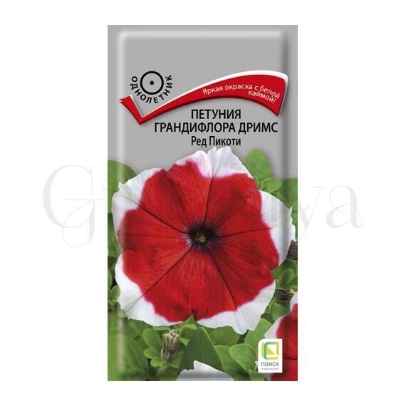 Петуния грандифлора Дримс Ред Пикоти 10 шт ПОИСК