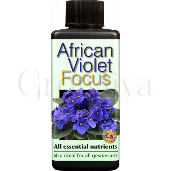 GT African Violet Focus для фиалок 300 мл