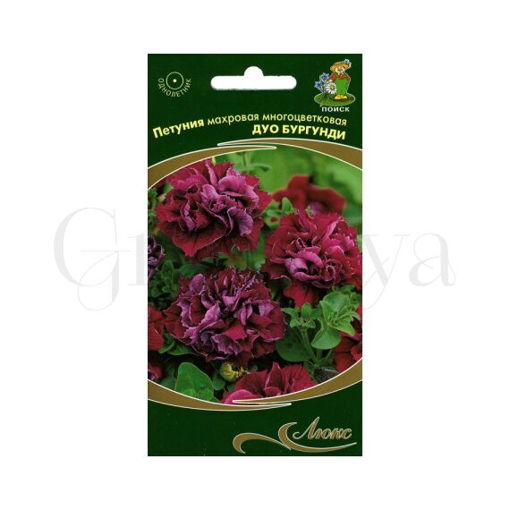 Петуния махровая многоцветковая Дуо Бургунди 10 шт ПОИСК