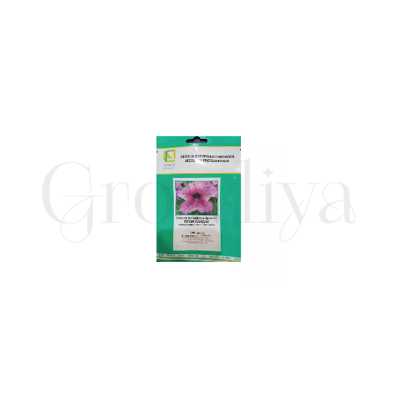 Петуния грандифлора Призм  Плам Сандай 100 шт ПОИСК