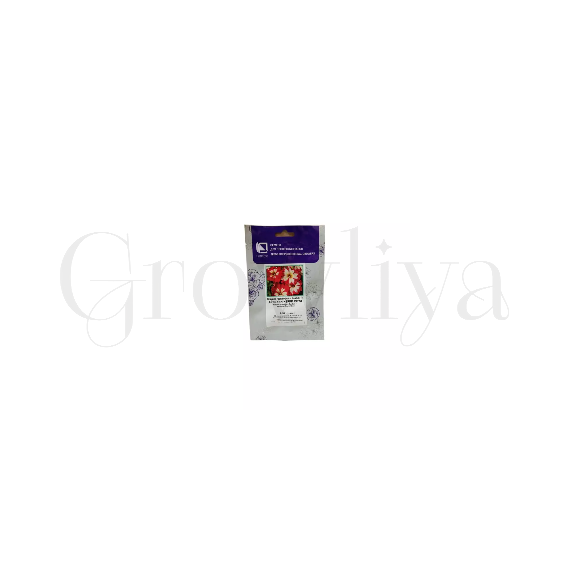 Петуния  грандифлора Кан Кан Арлекин Черри Роуз 100 шт  ПОИСК