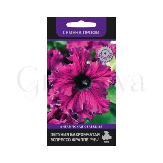 Петуния бахромчатая Эспрессо Фраппе Руби 10 шт ПОИСК