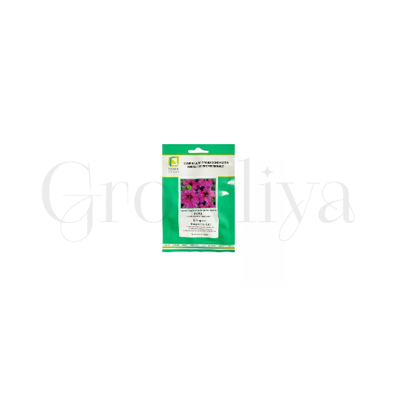 Петуния бахромчатая Эспрессо Фраппе Роуз 100 шт ПОИСК