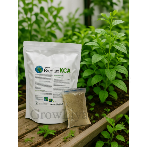 Brentax KCA брентакс Калий-Кальций 100г (фасовка)