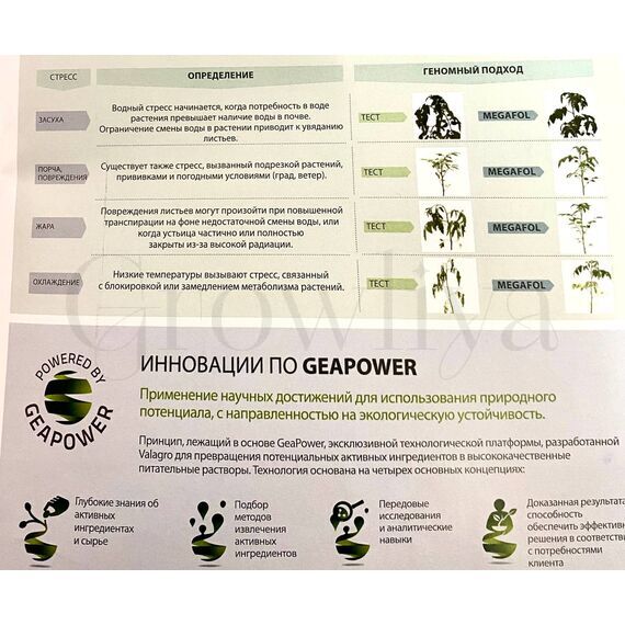Мегафол антистрессант 50 мл (фасовка)