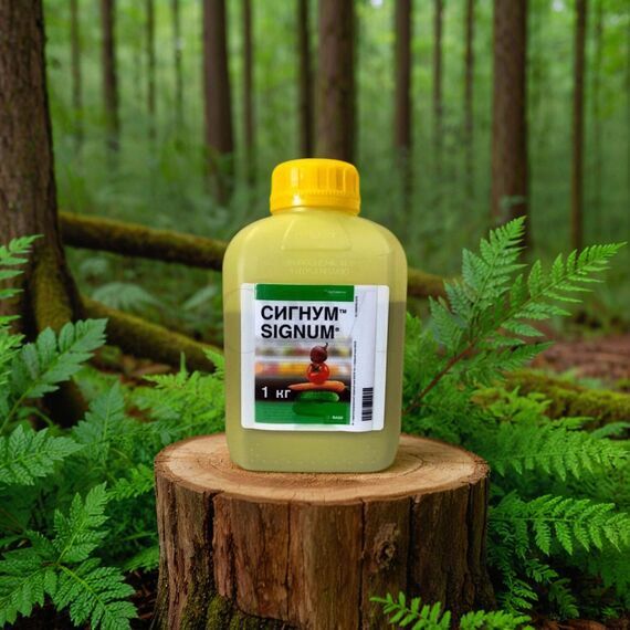 Сигнум Basf двухкомпонентный фунгицид 10 г (фасовка)