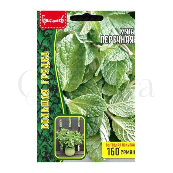 Мята Перечная 0,1гр РЕДКИЕ СЕМЕНА