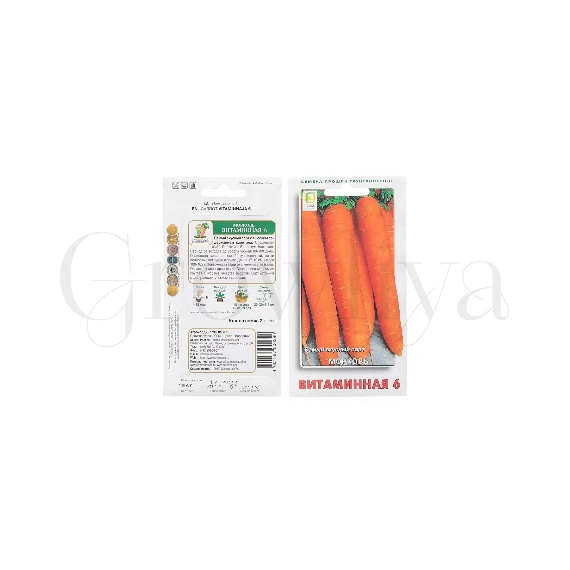 Морковь Витаминная 5000 шт РЕДКИЕ СЕМЕНА