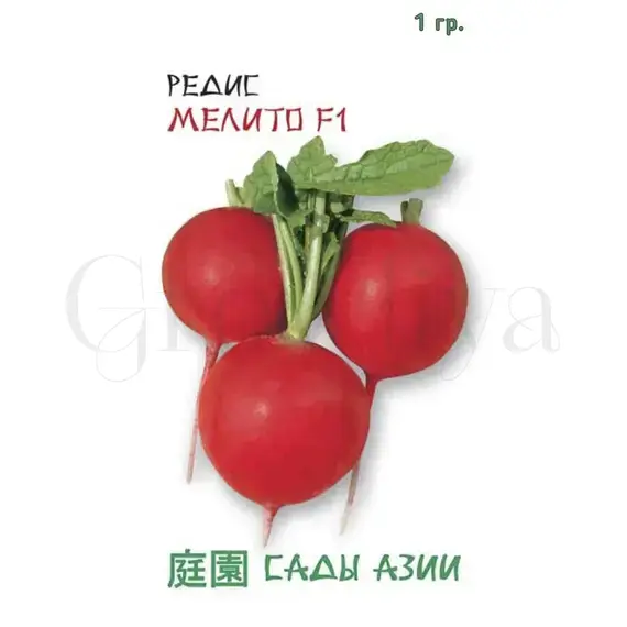 Редис мелито Семена Азии