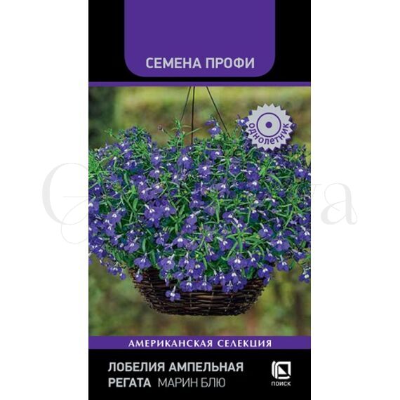 Лобелия ампельная Регата Марин Блю 100 шт ПОИСК
